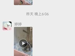 -全心全意连锁动物医院·特色中医诊疗(会城门分院)