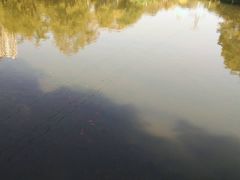 -晓港公园