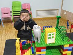 -韦伯科创·少儿编程·乐高·机器人(新光华教育中心)