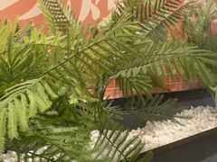 -淘蛙(潮州财富中心店)