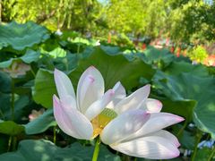 -上海交通大学(闵行校区)