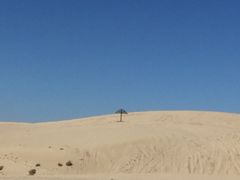 -库伦旗银沙湾旅游景区