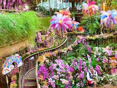 -正佳雨林生态植物园