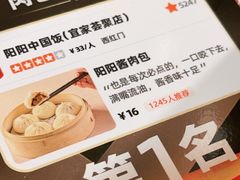 -阳阳中国饭(龙湖大兴天街)