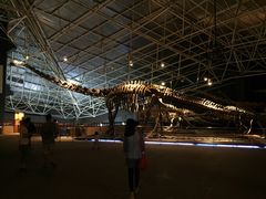 -世界恐龙谷景区