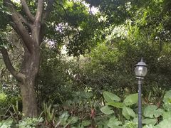 -黄埔荔枝公园