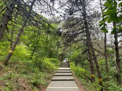 -帽儿山国家森林公园