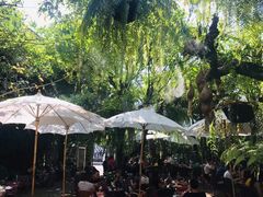 -Fern Forest Cafe