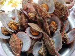 -宾朋海鲜特色美食餐厅·纯手工鲅鱼水饺(兴海路店)