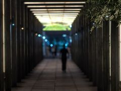 -金鸡湖景区