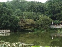 -云溪植物园