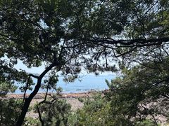 -青岛海滨风景区