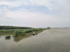 -洪湖生态旅游区