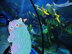 -福州罗源湾海洋世界旅游区