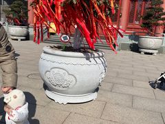 -上海东林寺(金山区)