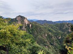 -大岭沟猕猴桃谷风景区