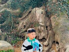 -杨家堂村