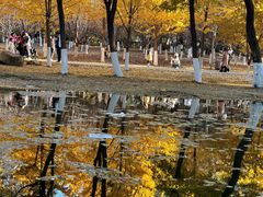 -长白岛森林公园