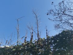 -汤山一号温泉度假区