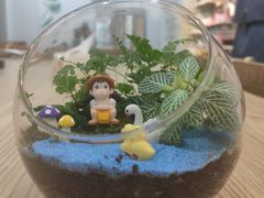 -拾光陶吧