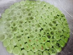 -沈记青团