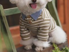 -周渝食惦·酸菜鱼精致川菜(横岗店)