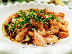 -丁老爷子苏香圆