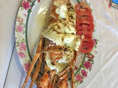 -Red Lobster