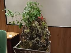 -杏花村水席楼·洛阳水席(老城十字街店)