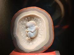 -深圳珠宝博物馆