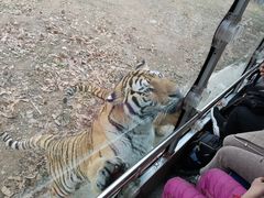 -西安秦岭野生动物园