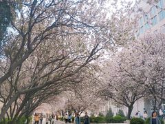 -山东师范大学(千佛山校区)
