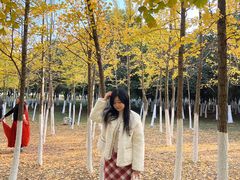 -艾溪湖湿地公园