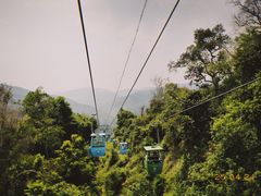 -野象谷景区