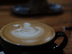 -Torch Coffee 炬点咖啡