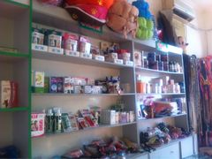 -小叮当动物医院·骨科·眼科