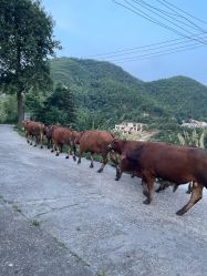 -Zoolung Zoolung动物主题公园(海信广场店)