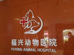 -瑞派福兴宠物医院犬猫全科·骨科·中西医结合(河东店)