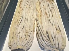 -巴音郭楞蒙古自治州博物馆