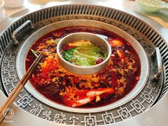 -晓宇重庆火锅(赛格国际购物中心店)