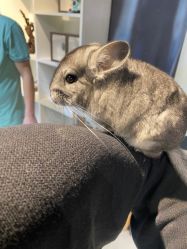 -酷嗒动物文化乐园(cutezoo西溪乐天城店)