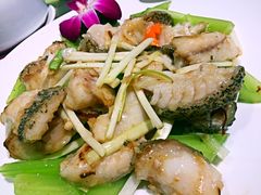 -陶陶居海鲜酒家(新马路店)
