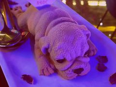 -甜喵酒吧(茂业店)