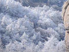 -崂山巨峰游览区