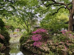 -上海醉白池公园
