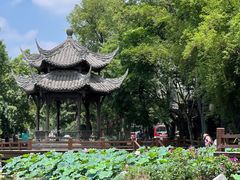 -黄龙溪古镇