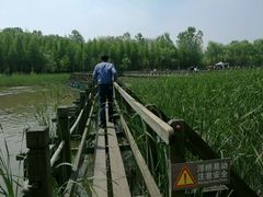 -溱湖国家湿地公园