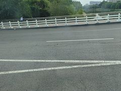 -桃花堤公园