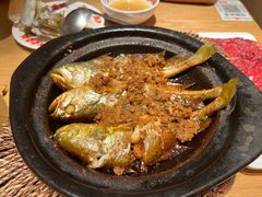 -邹开喜·炭炉鸡煲·海鲜火锅(虹口足球场店)