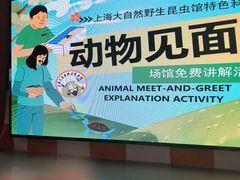-上海大自然野生昆虫馆(东方明珠·爬宠昆虫探索中心)